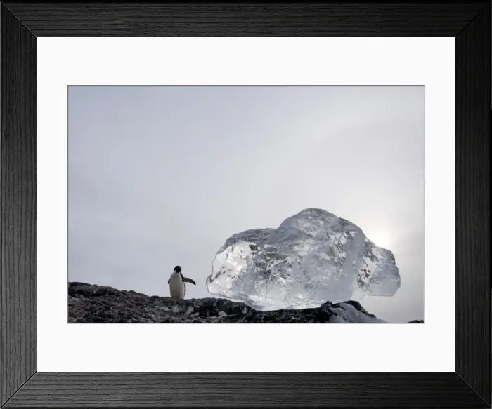 Framed Print : Picture No. 11672021 Framed Print : Picture No. 11672021