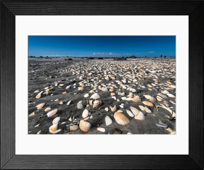 Framed Print : Picture No. 11672032 Framed Print : Picture No. 11672032