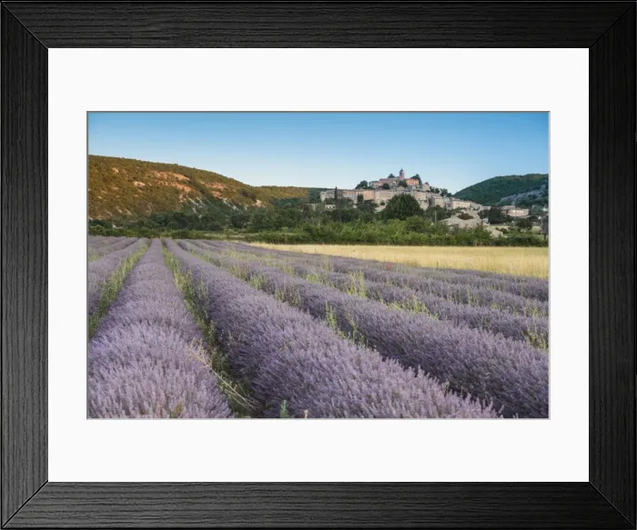 Framed Print : Picture No. 11672043 Framed Print : Picture No. 11672043