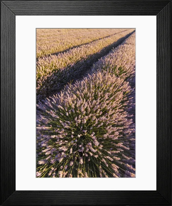 Framed Print : Picture No. 11672045 Framed Print : Picture No. 11672045