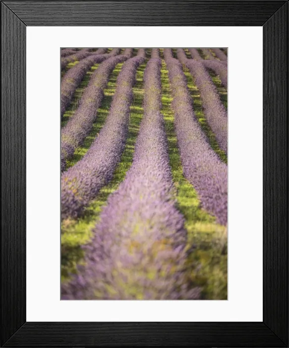 Framed Print : Picture No. 11672049 Framed Print : Picture No. 11672049