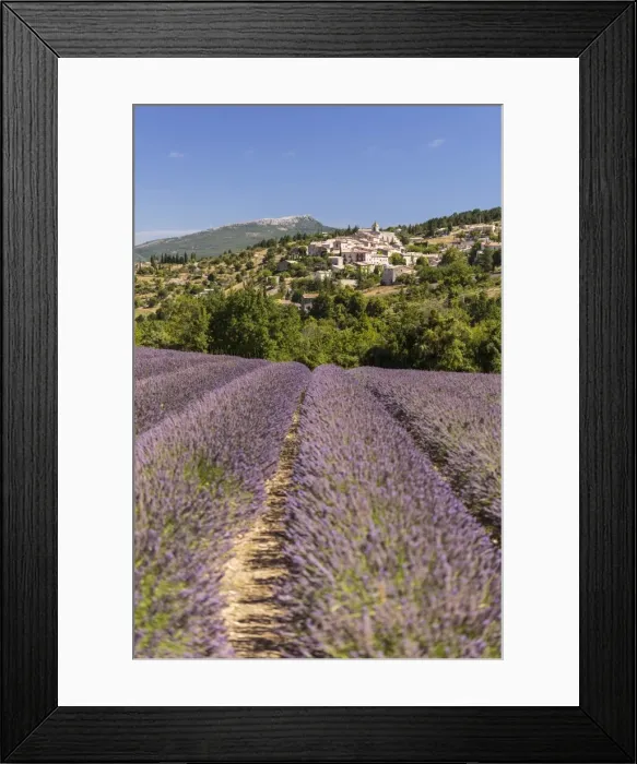 Framed Print : Picture No. 11672056 Framed Print : Picture No. 11672056