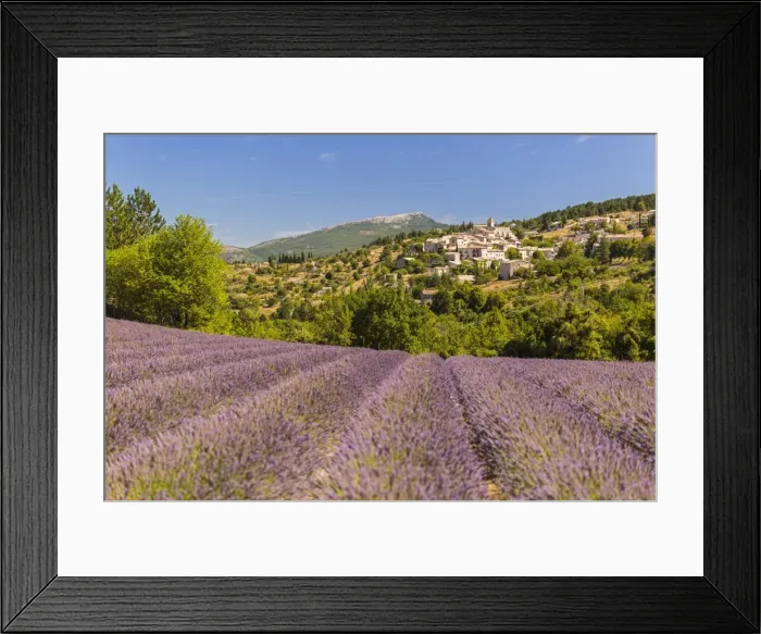 Framed Print : Picture No. 11672057 Framed Print : Picture No. 11672057