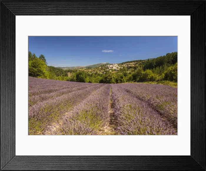 Framed Print : Picture No. 11672058 Framed Print : Picture No. 11672058