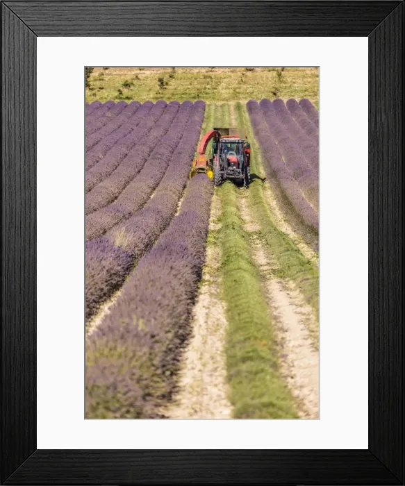 Framed Print : Picture No. 11672061 Framed Print : Picture No. 11672061