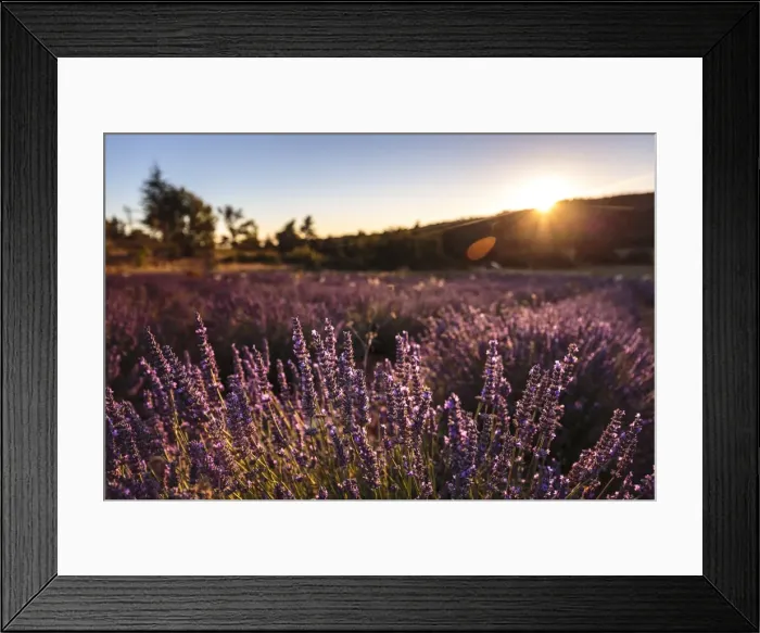 Framed Print : Picture No. 11672062 Framed Print : Picture No. 11672062