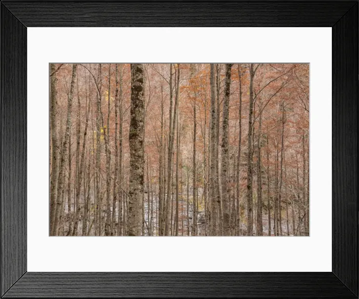 Framed Print : Picture No. 11672068 Framed Print : Picture No. 11672068