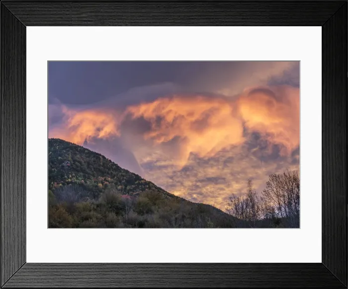 Framed Print : Picture No. 11672073 Framed Print : Picture No. 11672073