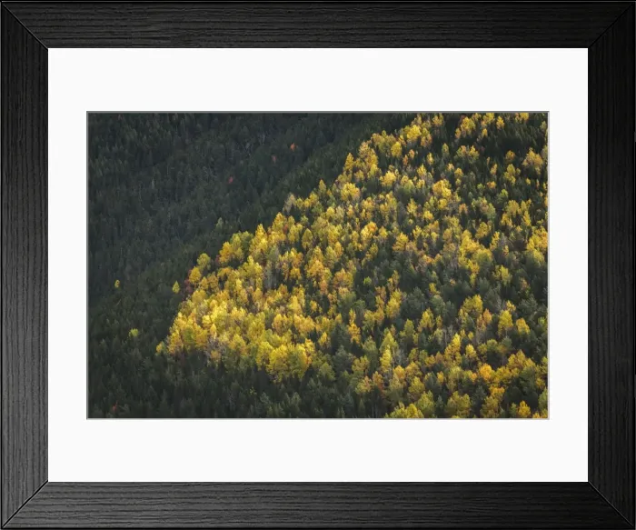 Framed Print : Picture No. 11672076 Framed Print : Picture No. 11672076