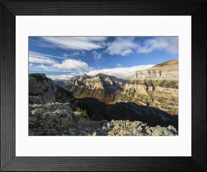 Framed Print : Picture No. 11672078