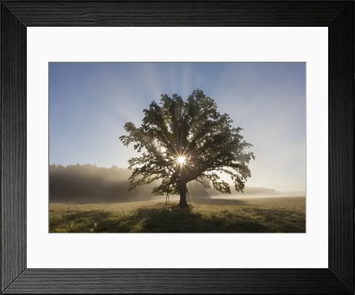 Framed Print : Picture No. 11672101 Framed Print : Picture No. 11672101