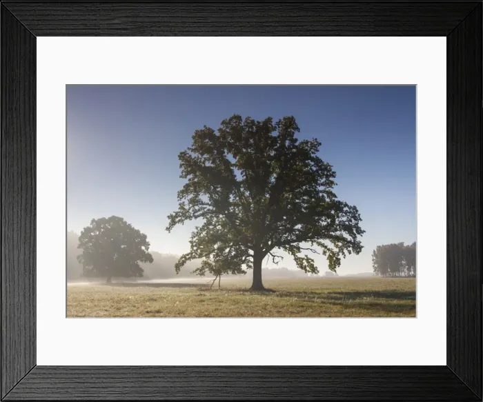 Framed Print : Picture No. 11672102 Framed Print : Picture No. 11672102