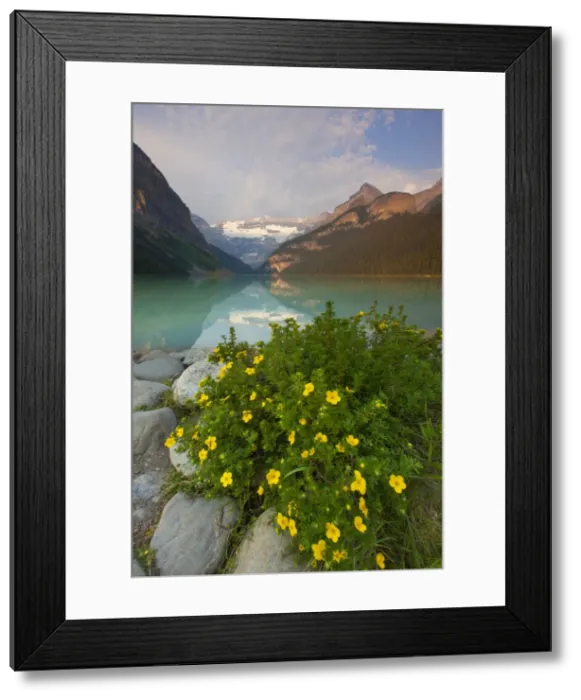 Framed Print : Picture No. 11672127 Framed Print : Picture No. 11672127