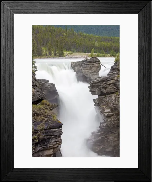 Framed Print : Picture No. 11672184 Framed Print : Picture No. 11672184
