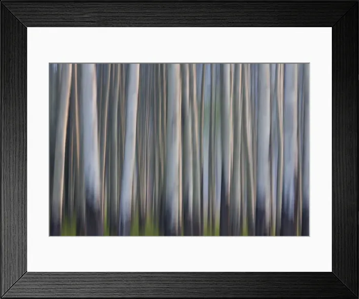 Framed Print : Picture No. 11672220 Framed Print : Picture No. 11672220