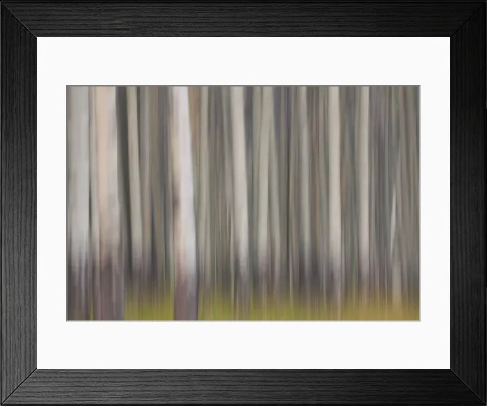 Framed Print : Picture No. 11672224 Framed Print : Picture No. 11672224