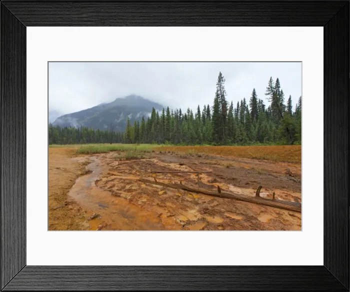 Framed Print : Picture No. 11672245 Framed Print : Picture No. 11672245