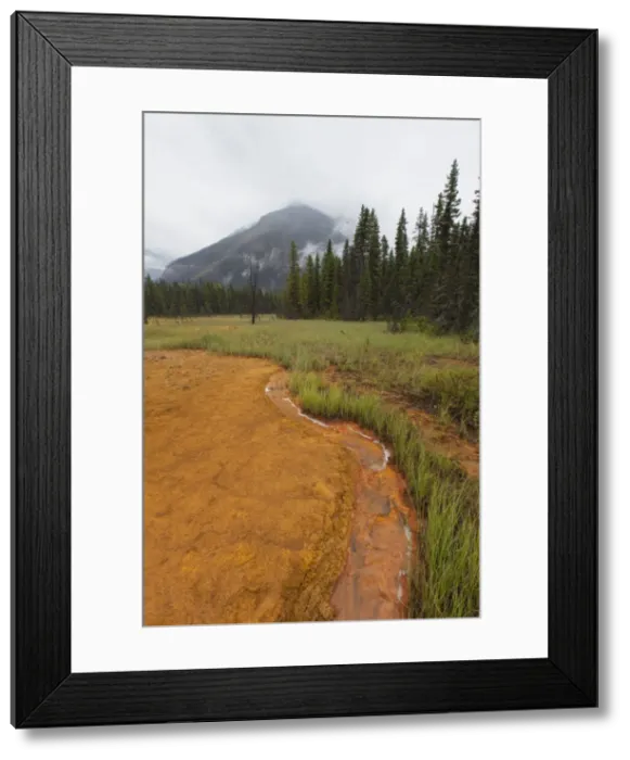 Framed Print : Picture No. 11672246
