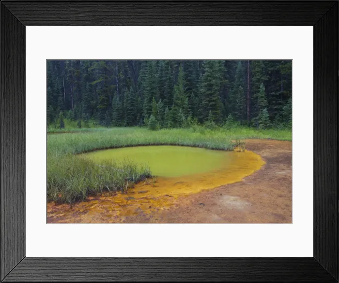 Framed Print : Picture No. 11672248 Framed Print : Picture No. 11672248
