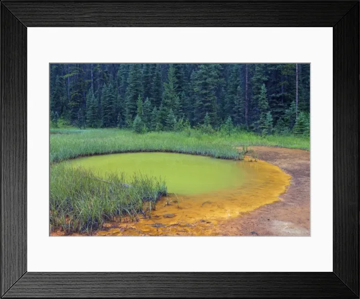 Framed Print : Picture No. 11672250 Framed Print : Picture No. 11672250