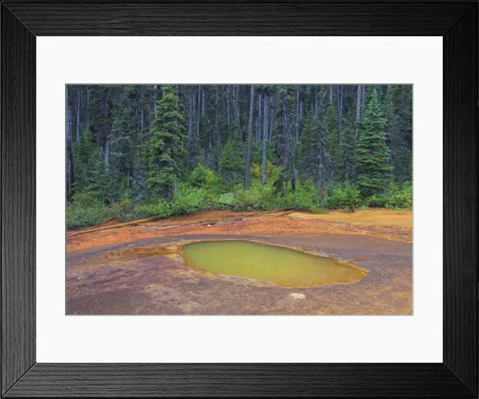 Framed Print : Picture No. 11672249 Framed Print : Picture No. 11672249