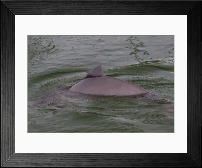 Framed Print : Picture No. 11672283 Framed Print : Picture No. 11672283