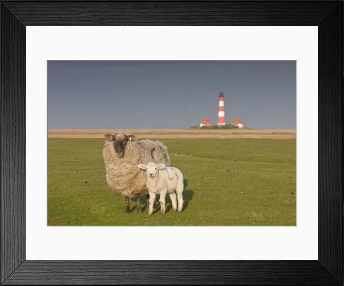 Framed Print : Picture No. 11672357 Framed Print : Picture No. 11672357