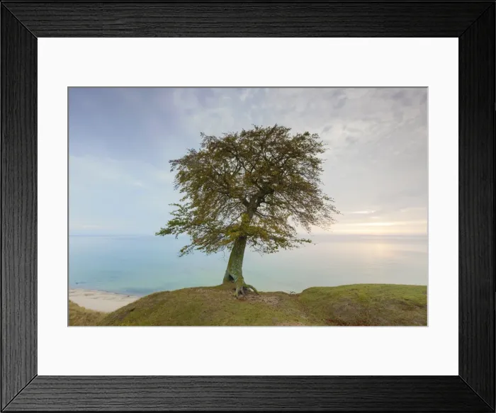Framed Print : Picture No. 11672384