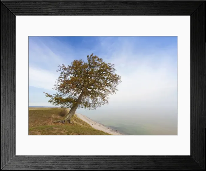 Framed Print : Picture No. 11672385 Framed Print : Picture No. 11672385