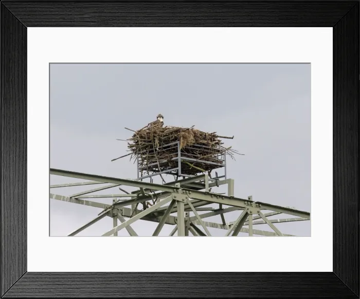 Framed Print : Picture No. 11672428 Framed Print : Picture No. 11672428
