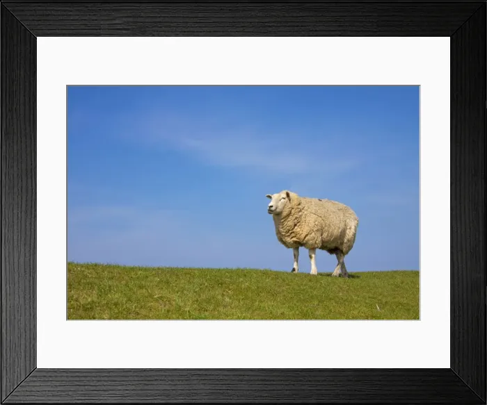 Framed Print : Picture No. 11672431 Framed Print : Picture No. 11672431
