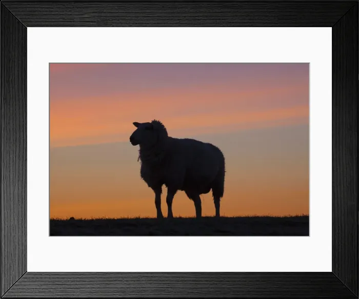 Framed Print : Picture No. 11672432 Framed Print : Picture No. 11672432
