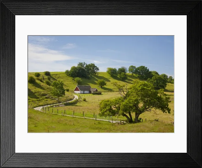 Framed Print : Picture No. 11672505 Framed Print : Picture No. 11672505