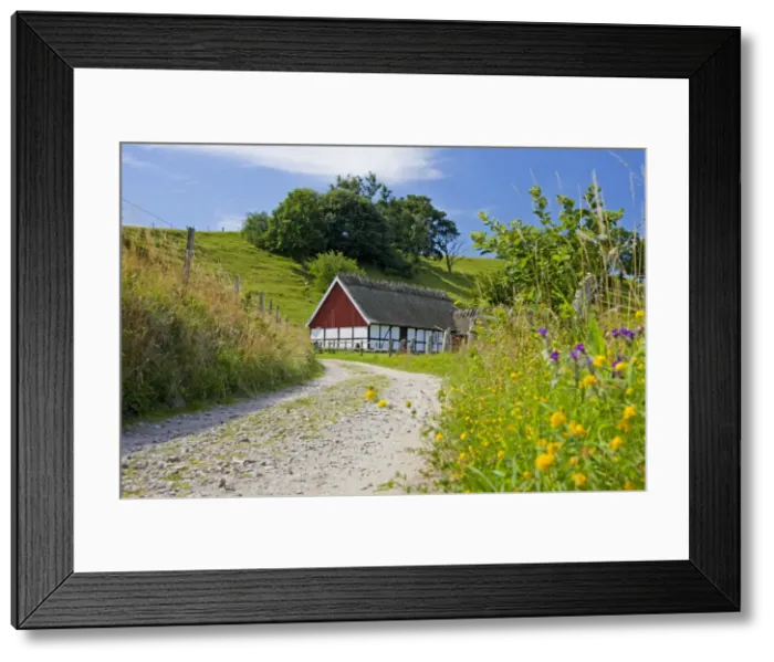 Framed Print : Picture No. 11672506 Framed Print : Picture No. 11672506