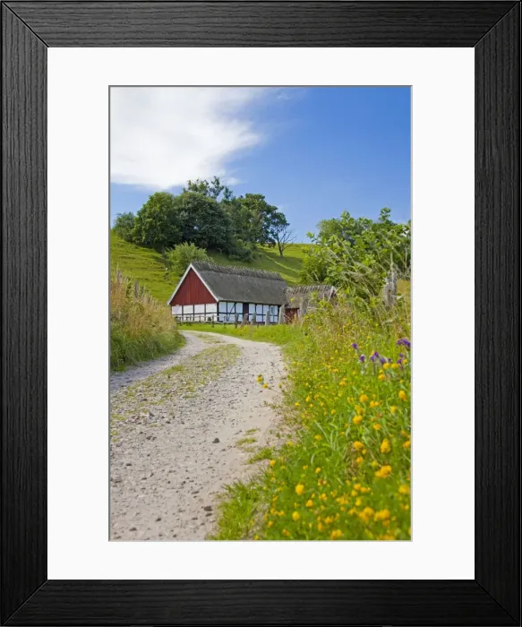 Framed Print : Picture No. 11672507 Framed Print : Picture No. 11672507