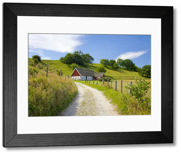Framed Print : Picture No. 11672508 Framed Print : Picture No. 11672508
