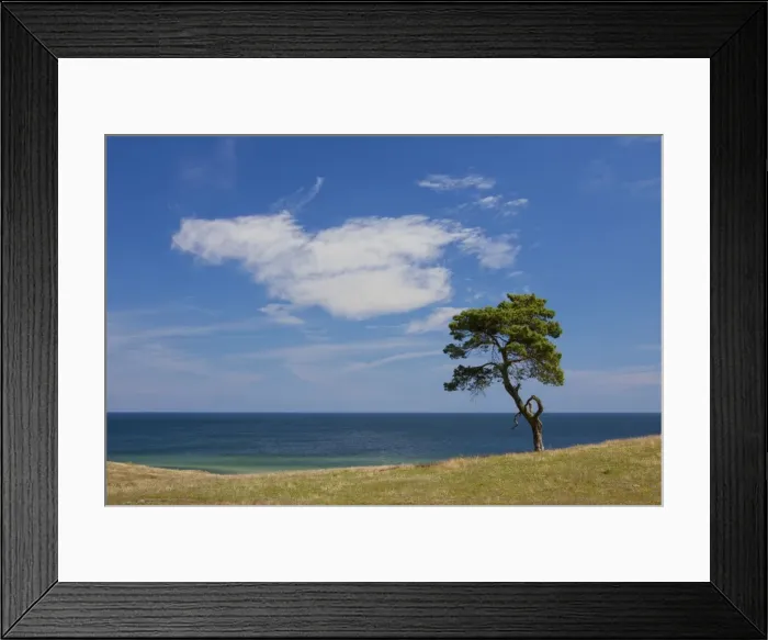Framed Print : Picture No. 11672569 Framed Print : Picture No. 11672569