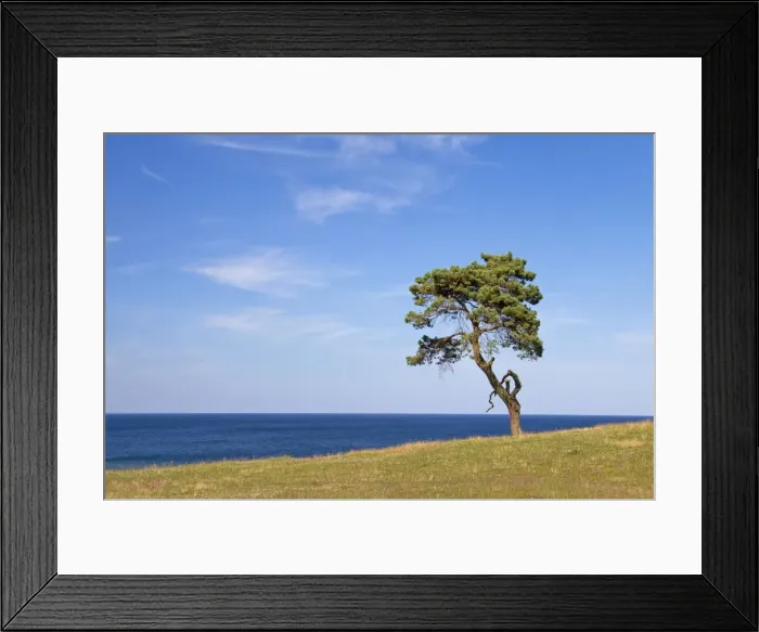 Framed Print : Picture No. 11672570 Framed Print : Picture No. 11672570