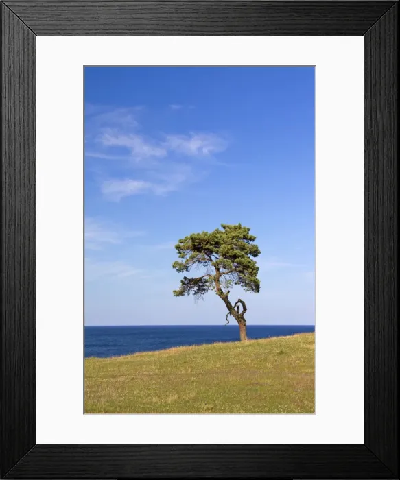 Framed Print : Picture No. 11672571 Framed Print : Picture No. 11672571