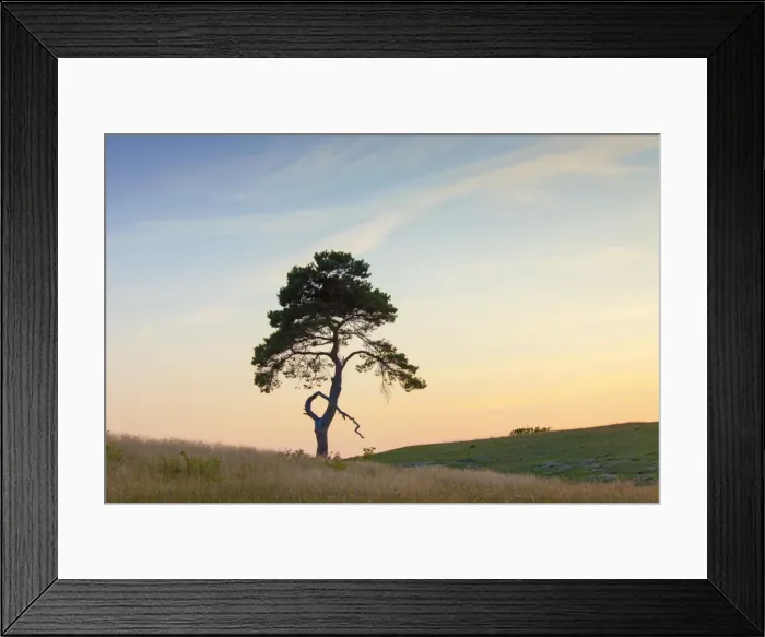 Framed Print : Picture No. 11672573 Framed Print : Picture No. 11672573