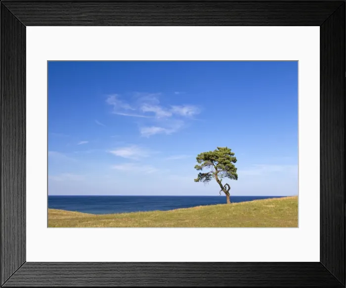 Framed Print : Picture No. 11672572 Framed Print : Picture No. 11672572