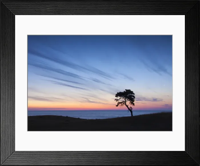 Framed Print : Picture No. 11672575 Framed Print : Picture No. 11672575
