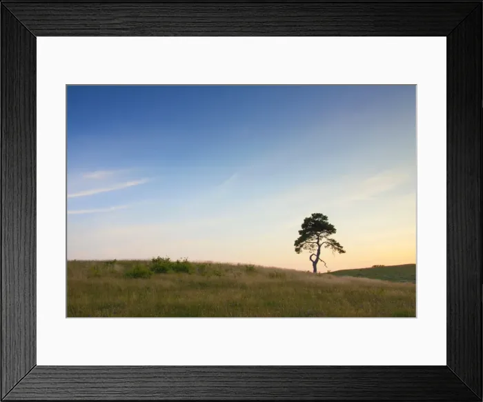 Framed Print : Picture No. 11672574 Framed Print : Picture No. 11672574