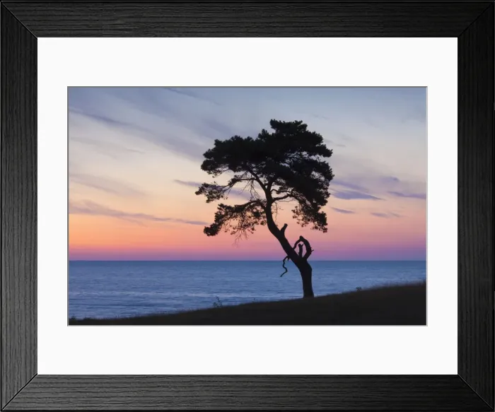 Framed Print : Picture No. 11672576 Framed Print : Picture No. 11672576