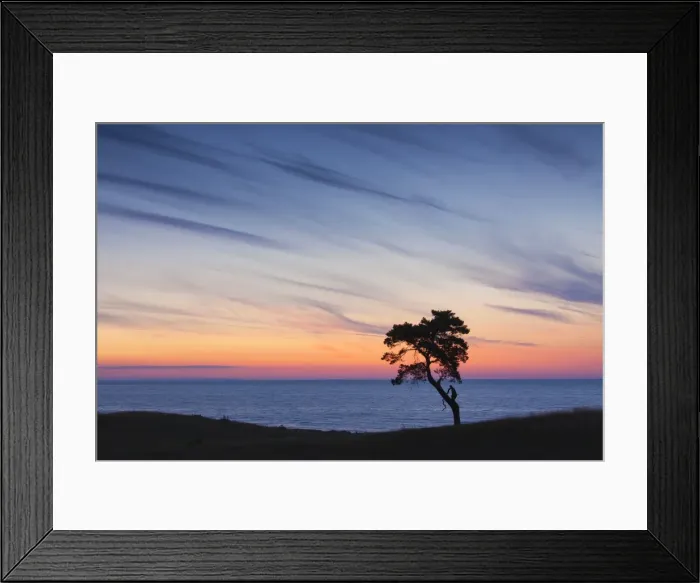 Framed Print : Picture No. 11672577 Framed Print : Picture No. 11672577