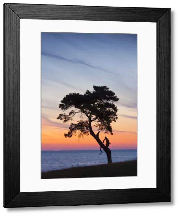 Framed Print : Picture No. 11672578 Framed Print : Picture No. 11672578