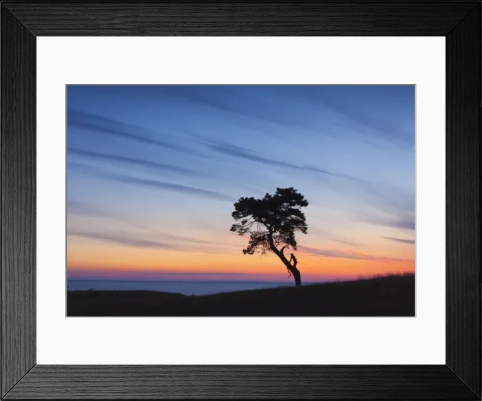 Framed Print : Picture No. 11672579 Framed Print : Picture No. 11672579