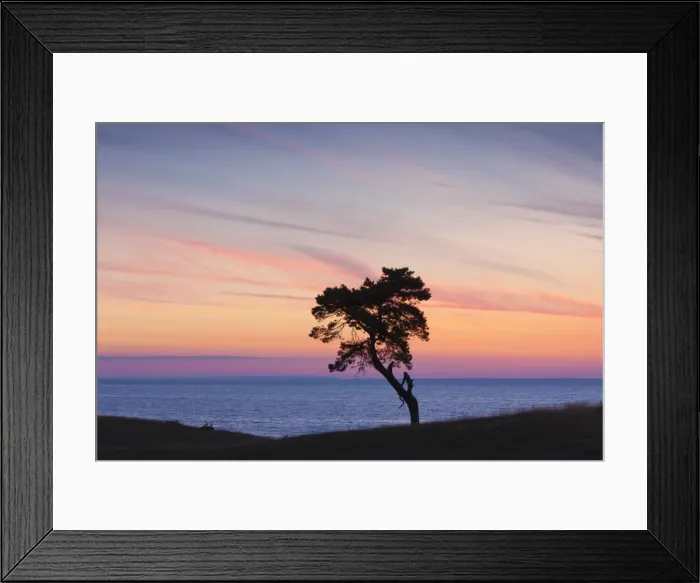 Framed Print : Picture No. 11672580 Framed Print : Picture No. 11672580