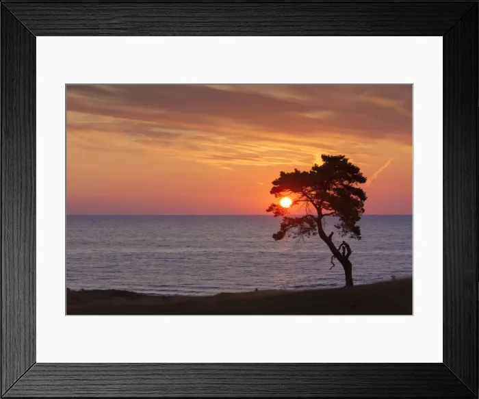 Framed Print : Picture No. 11672582 Framed Print : Picture No. 11672582