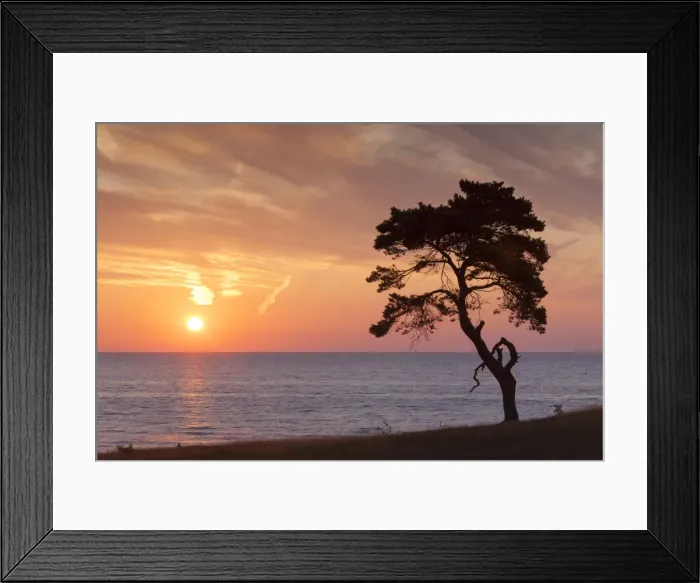 Framed Print : Picture No. 11672583 Framed Print : Picture No. 11672583